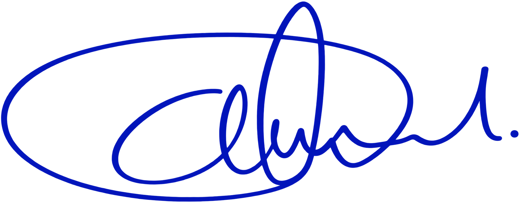 CEO / Authorised Representative Signature